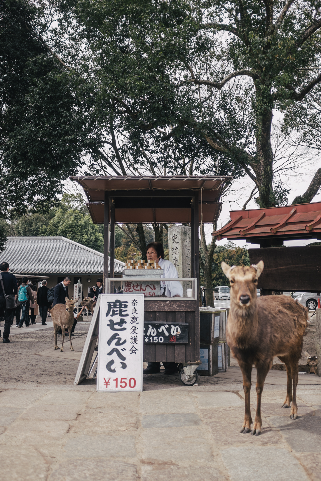 Nara-Park-160306-48