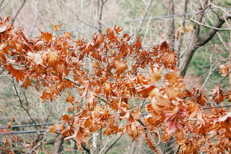 hike-bukhansan-150122-7