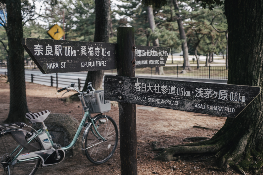 Nara-Park-160306-13