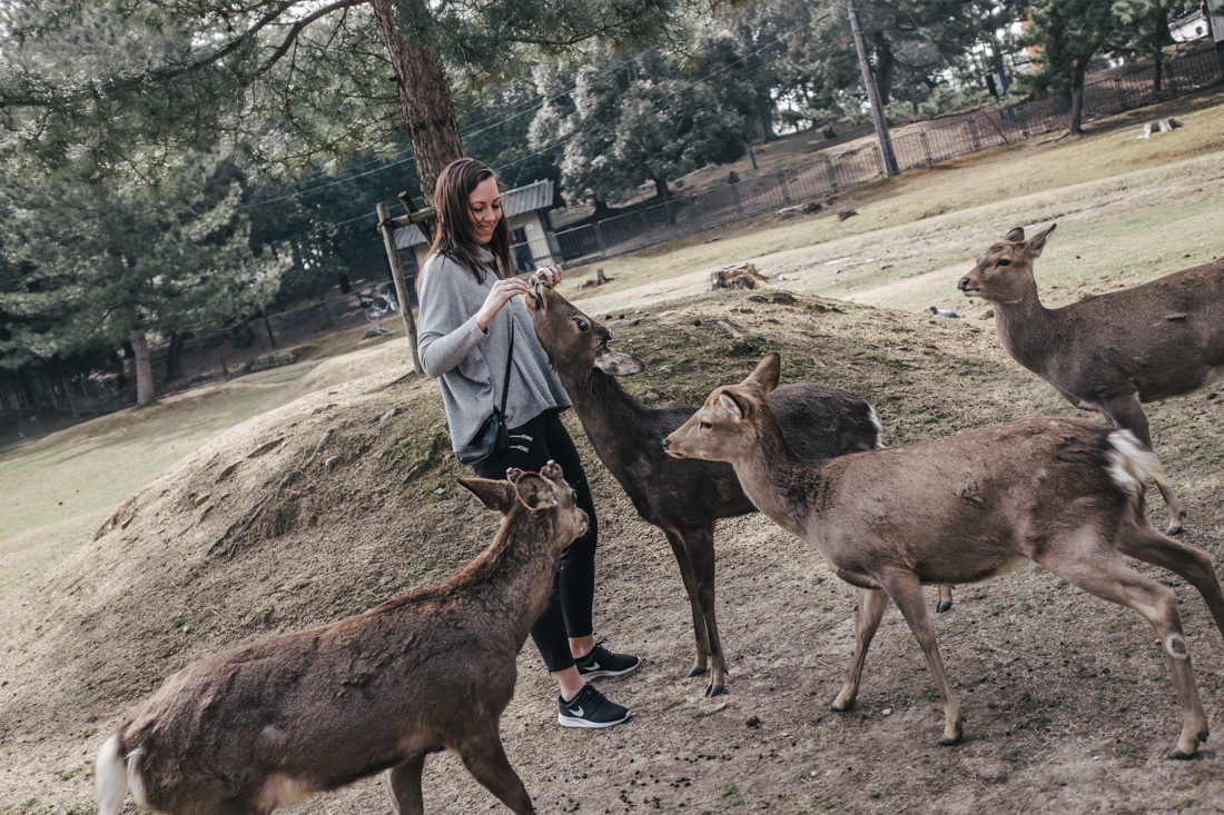 Nara-Park-160306-17