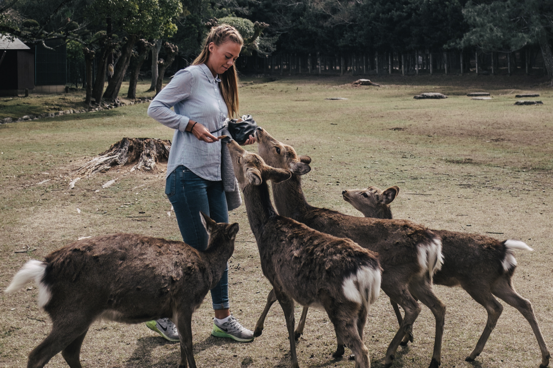 Nara-Park-160306-30