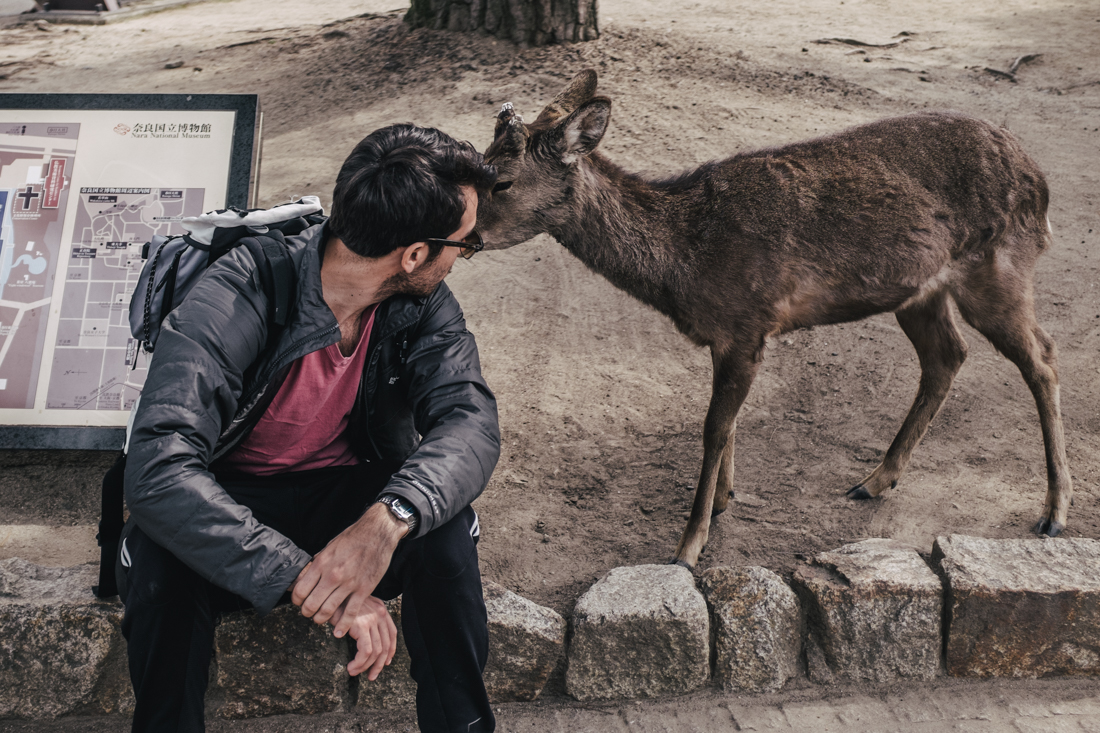 Nara-Park-160306-34