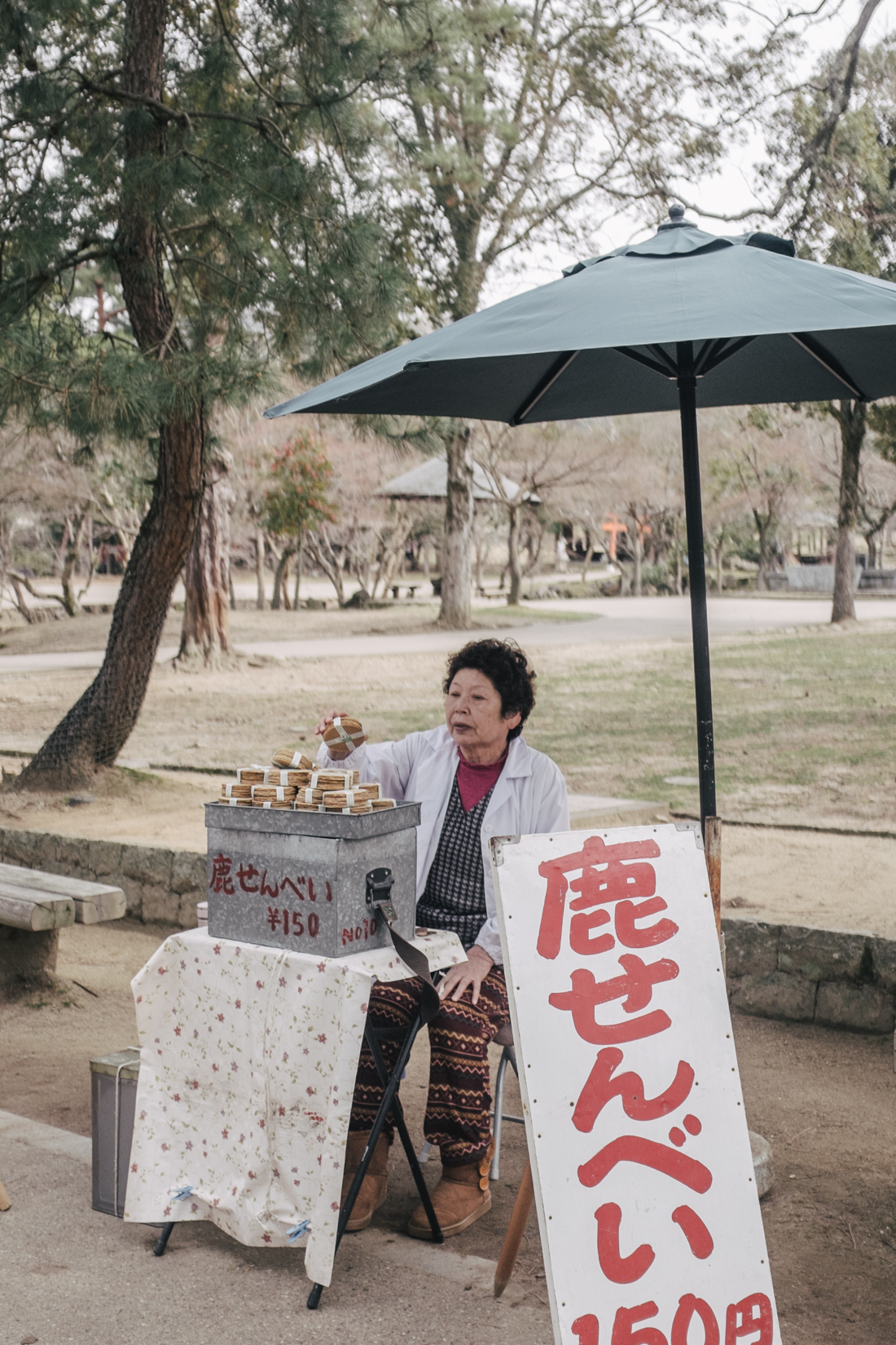 Nara-Park-160306-40