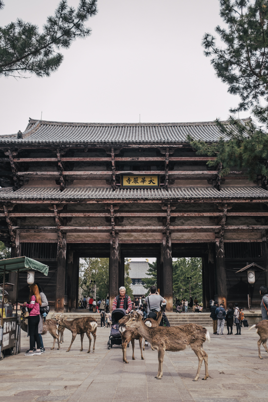 Nara-Park-160306-50