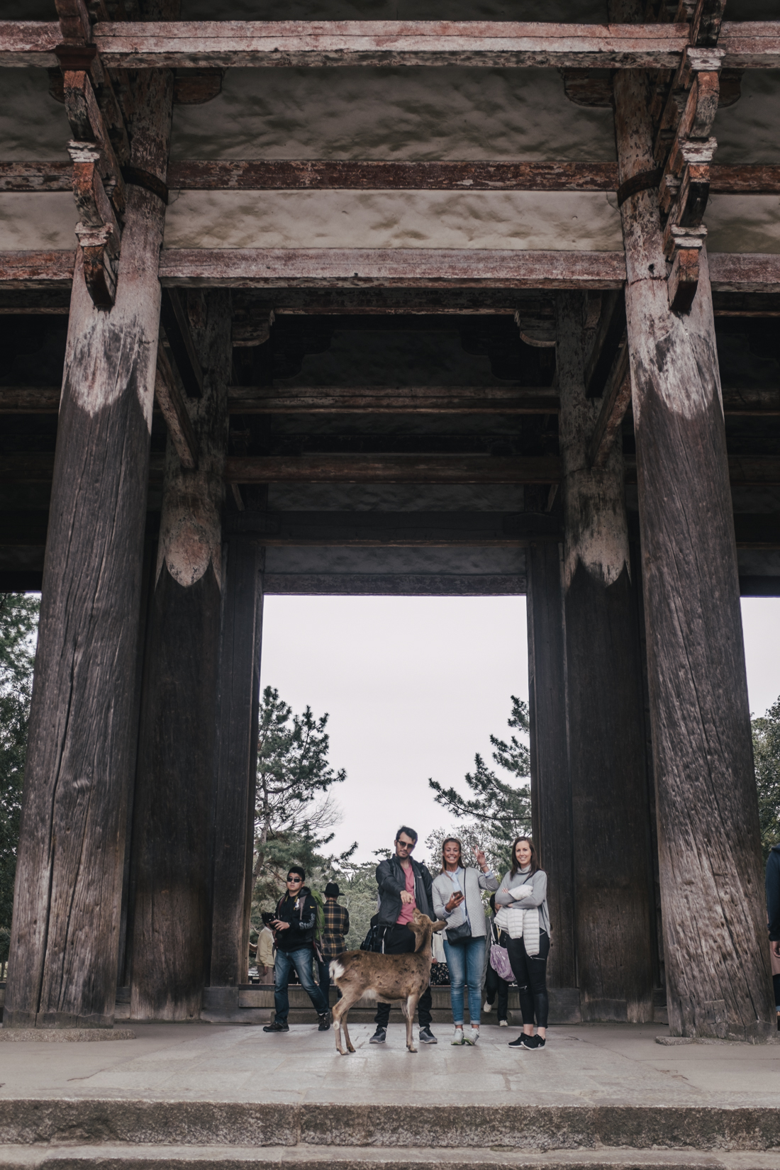 Nara-Park-160306-77