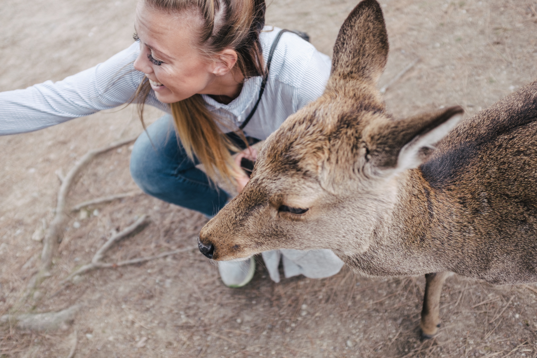 Nara-Park-160306-8