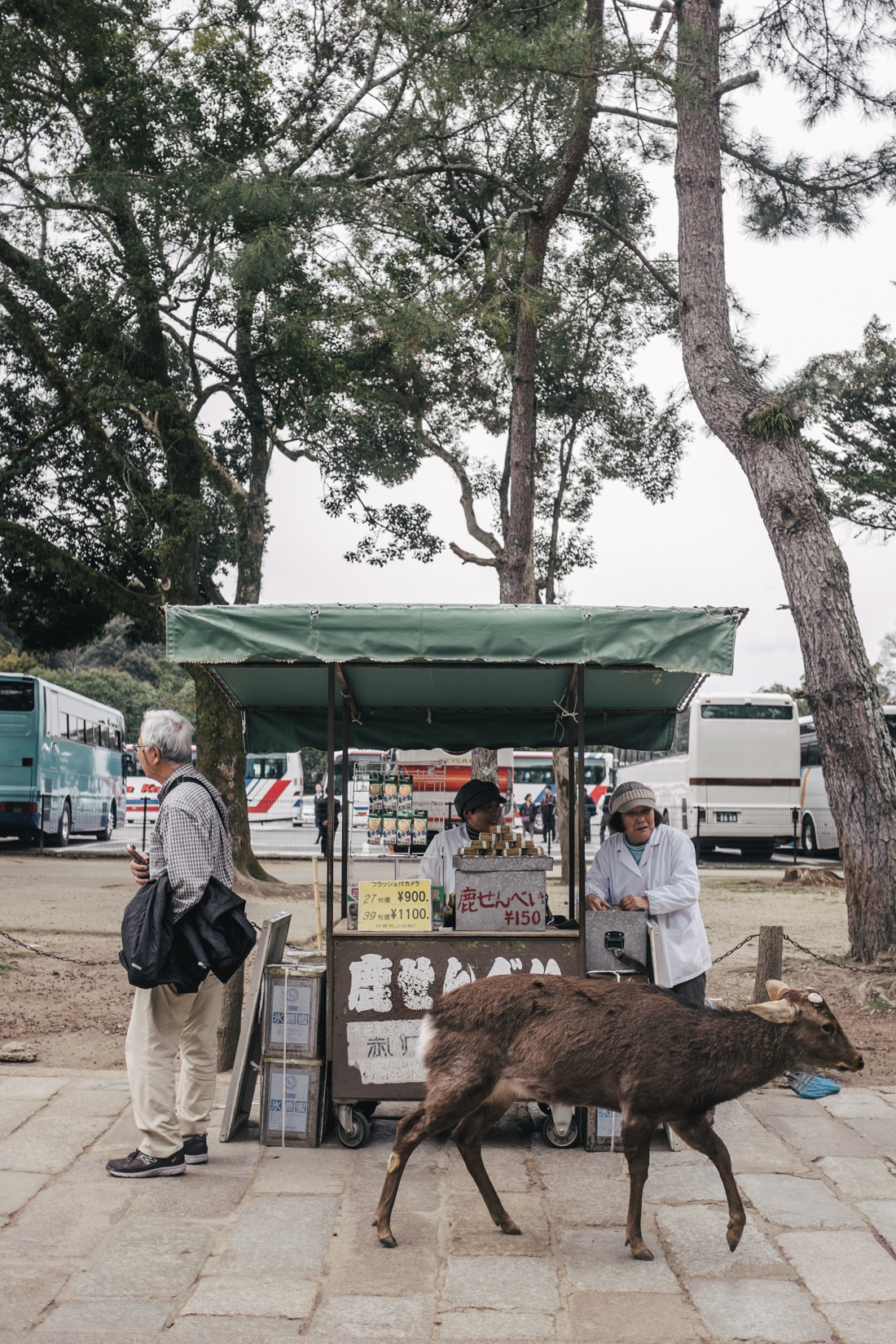 Nara-Park-160306-82