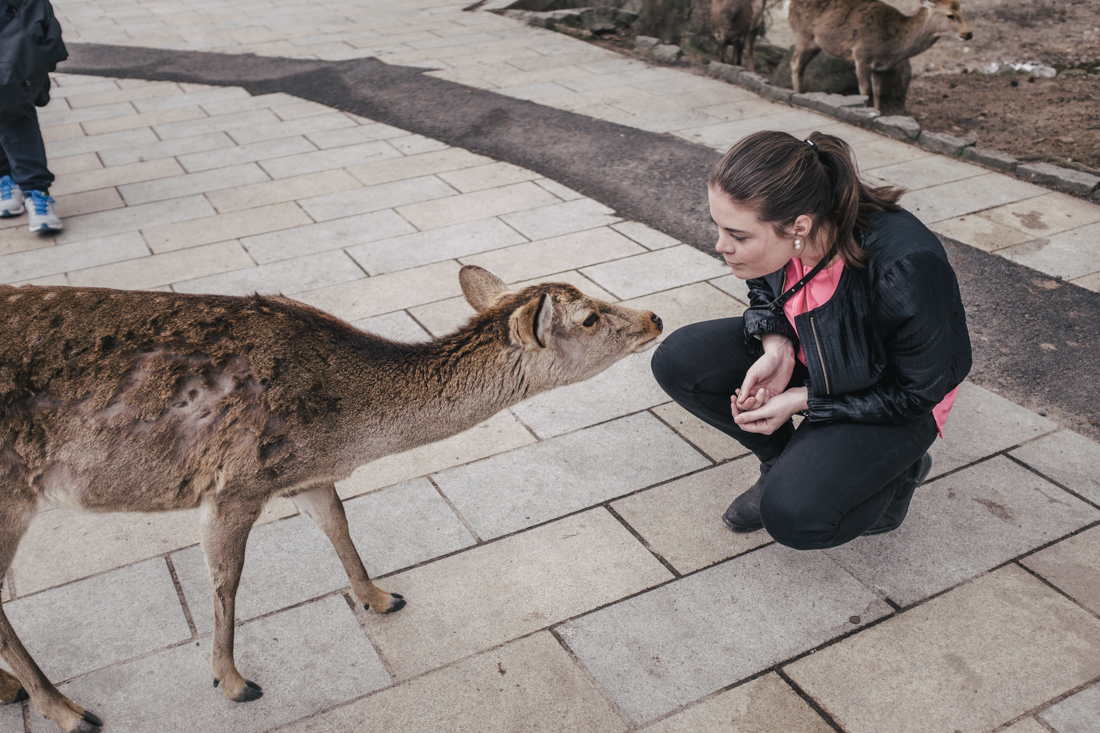 Nara-Park-160306-84