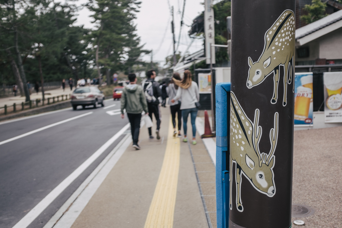 Nara-Park-160306-87