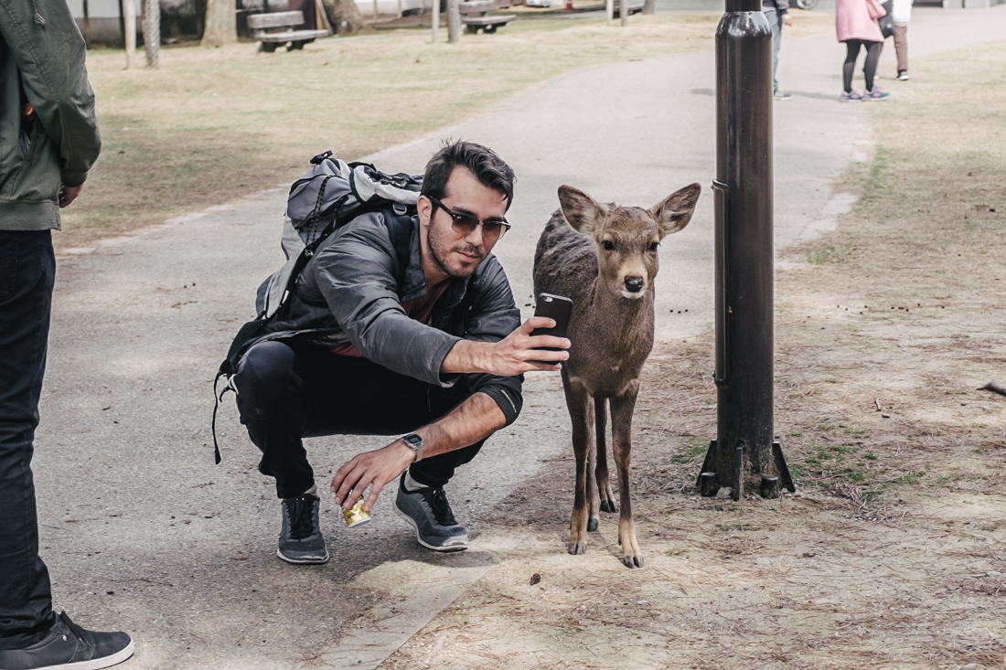 Nara-Park-160306-9